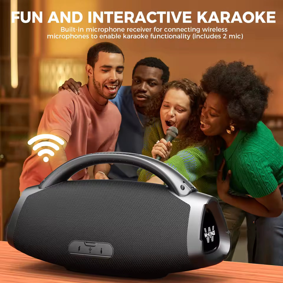 Portable Audio System – Limited Edition